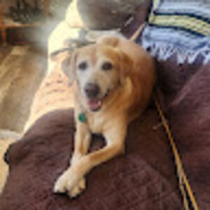 Meet your Posher, Marissa